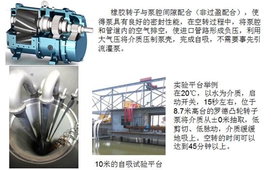 凸輪轉子泵 凸輪轉子泵