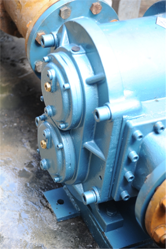 DSC_8316.jpg DSC_8316.jpg