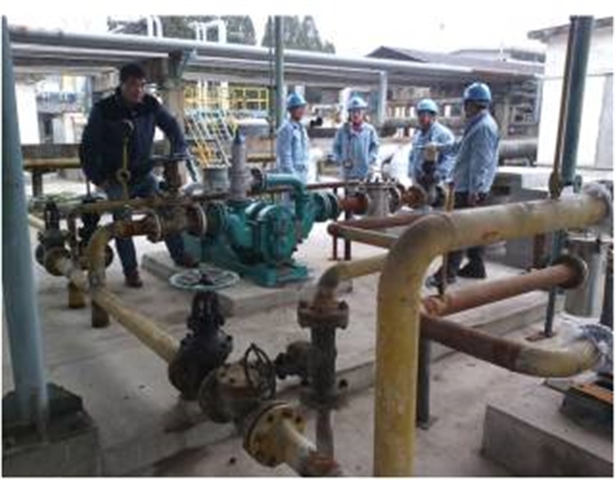 羅德轉子泵 羅德轉子泵