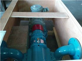 羅德排污轉子泵 羅德排污轉子泵