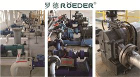 青島羅德凸輪轉子泵