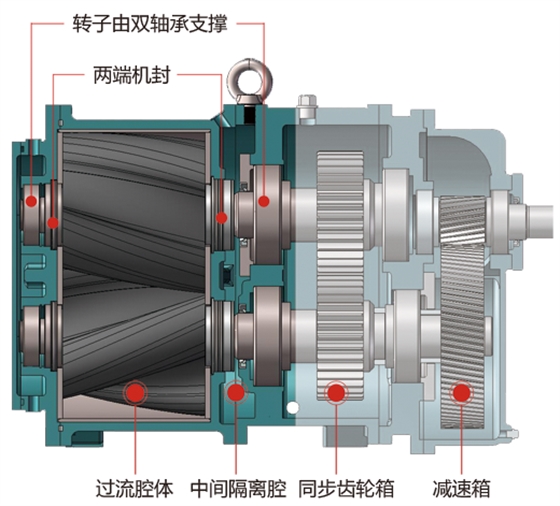 轉子泵雙支撐軸設計 轉子泵雙支撐軸設計