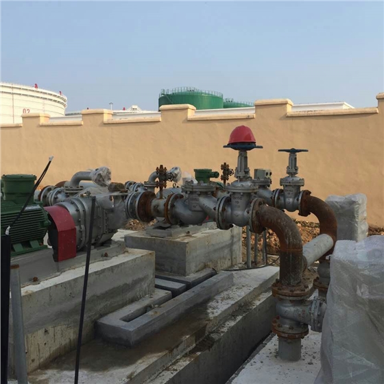 替換潛水泵 替換潛水泵