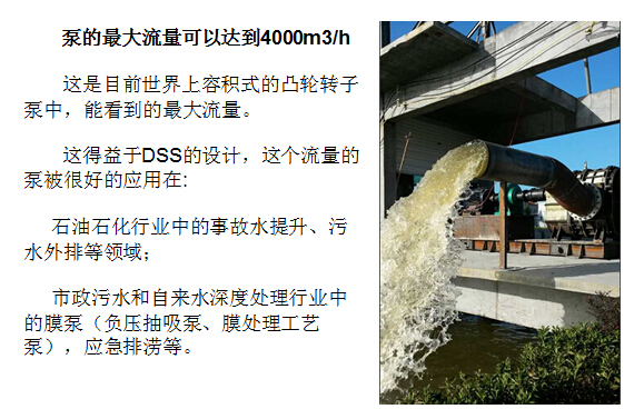 羅德凸輪轉子泵大流量 羅德凸輪轉子泵大流量