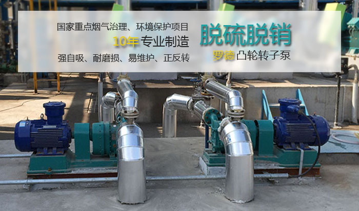 羅德凸輪轉子泵在國家環保項目中的應用