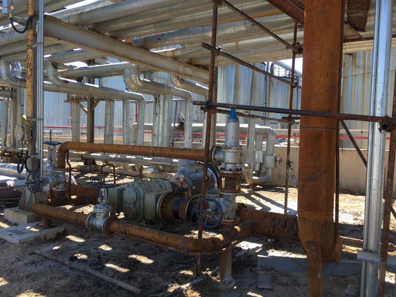 石油石化行業使用羅德品牌凸輪轉子泵20160919 石油石化行業使用羅德品牌凸輪轉子泵20160919