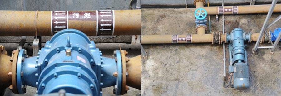 中山市珍加山RDC50污泥輸送轉子泵 中山市珍加山RDC50污泥輸送轉子泵