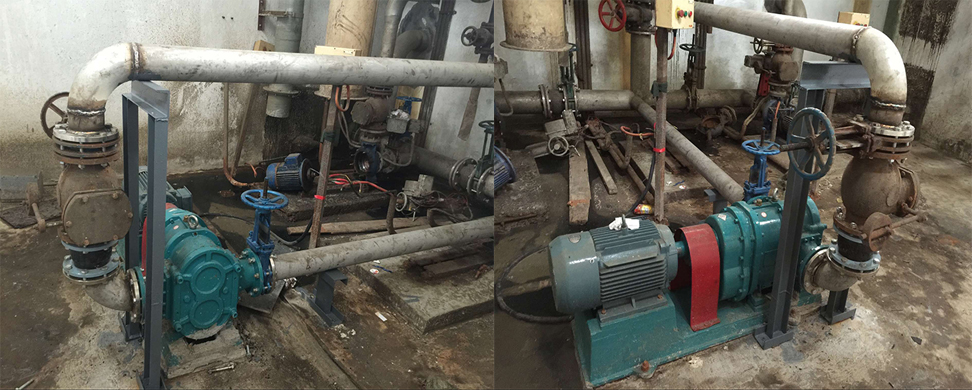 光大水務RDD100污泥輸送轉子泵 光大水務RDD100污泥輸送轉子泵