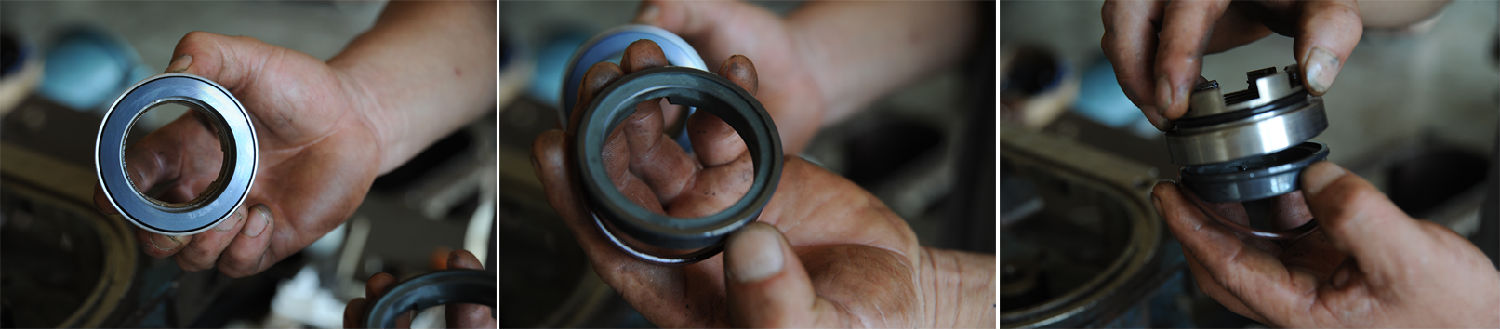 轉子泵機封 轉子泵機封