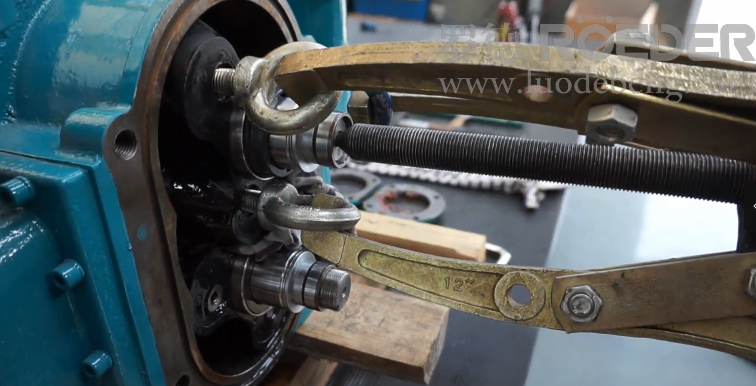 拉出轉子 拉出轉子