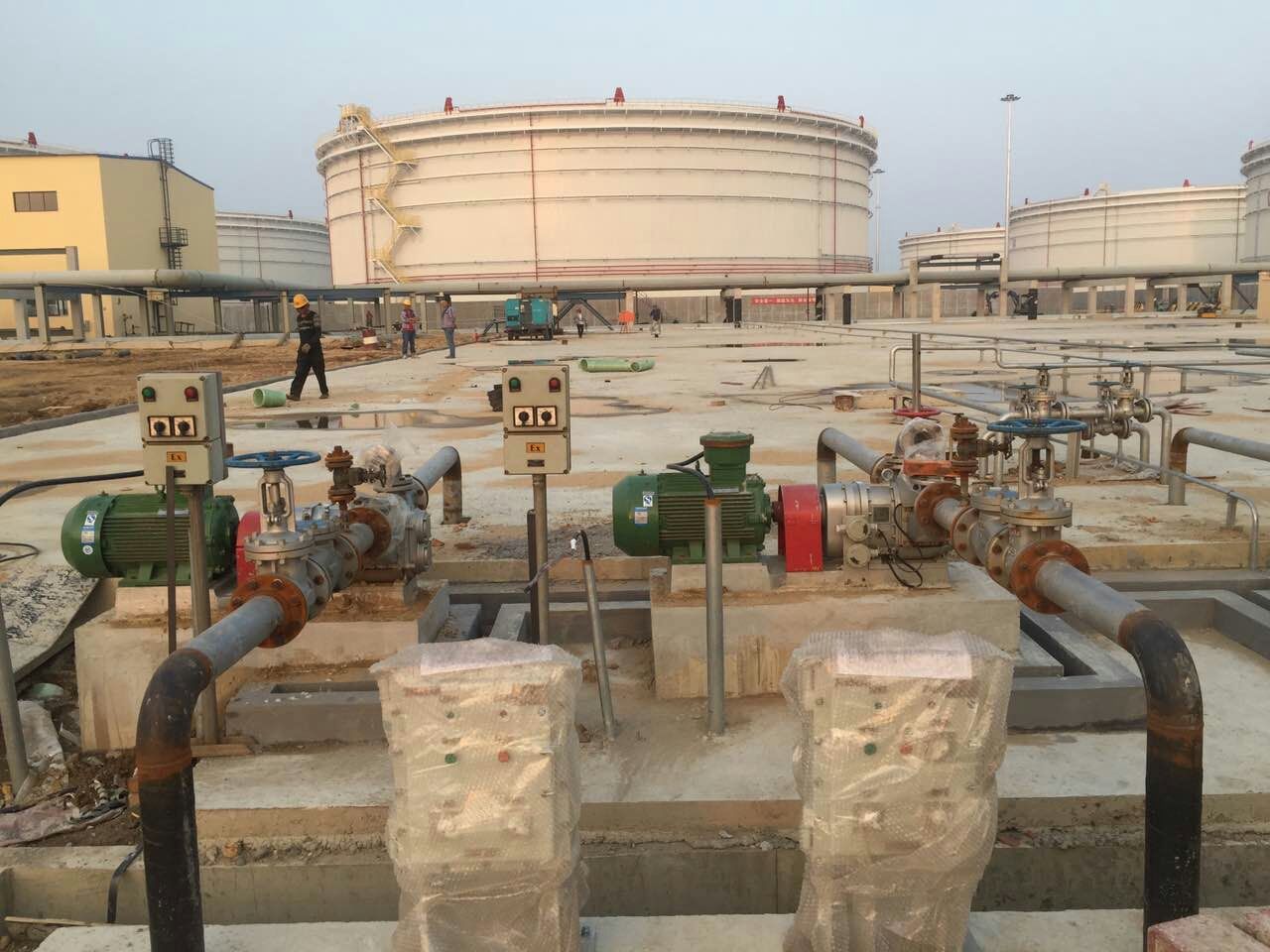 節能轉子泵 節能轉子泵