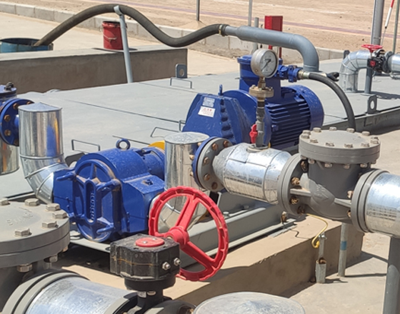 中石油天然氣陜西某分公司-含油污水轉(zhuǎn)子泵 中石油天然氣陜西某分公司-含油污水轉(zhuǎn)子泵