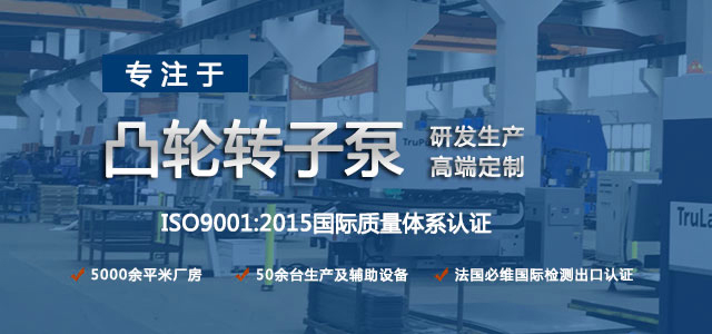 凸輪轉(zhuǎn)子泵生產(chǎn)廠家，專注于凸輪轉(zhuǎn)子泵的研發(fā)生產(chǎn)，高端定制